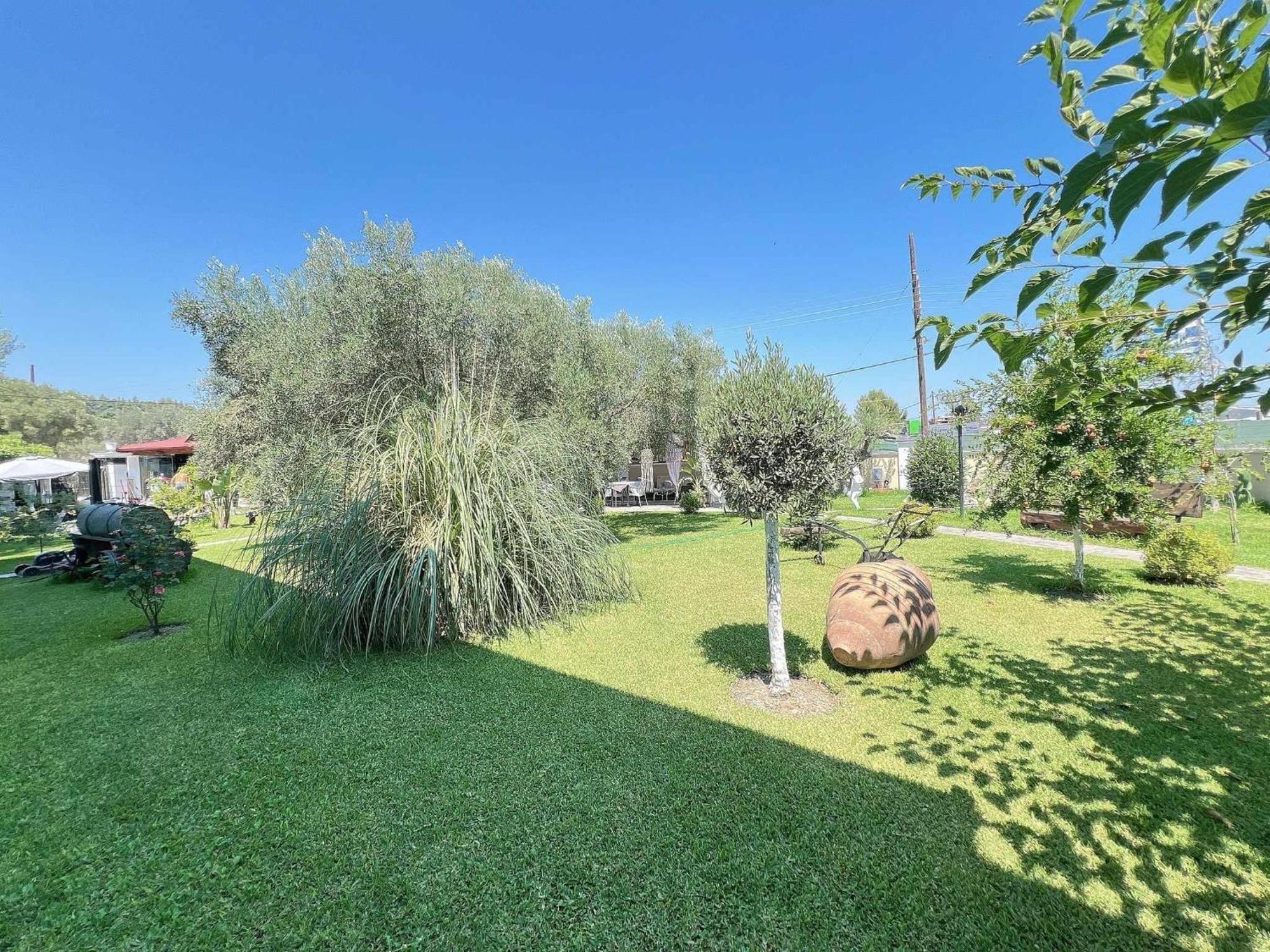 פוליכרונו Apartments Alexandros מראה חיצוני תמונה